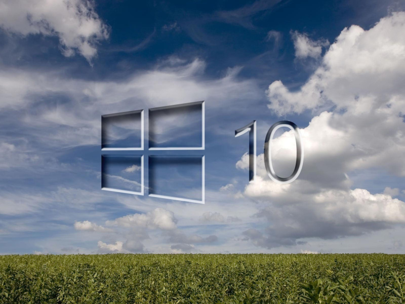Обои Windows 10 Grass Field 800x600