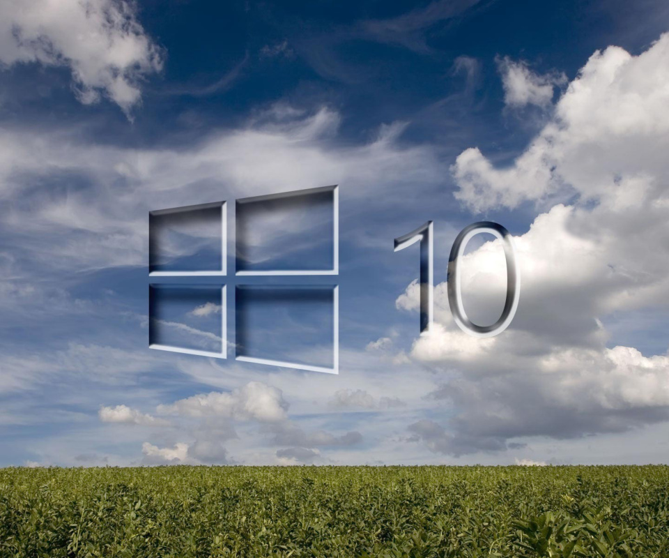 Windows 10 Grass Field wallpaper 960x800