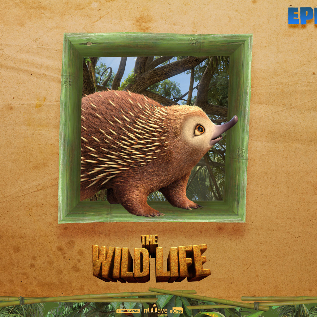 Das The Wild Life Cartoon Epi Wallpaper 1024x1024