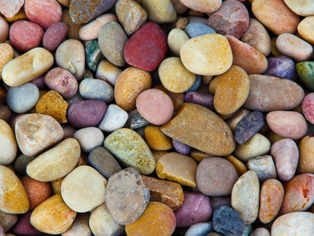 Das Colorful Pebbles Wallpaper 1280x960