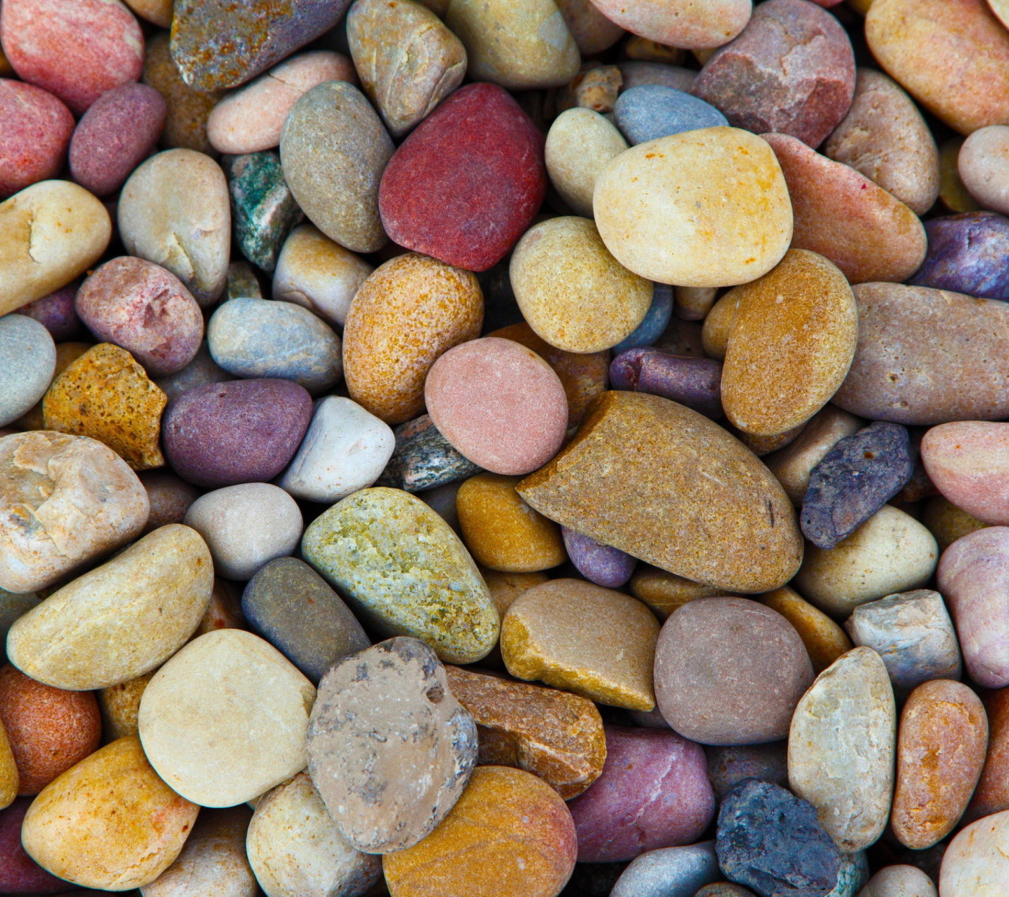 Fondo de pantalla Colorful Pebbles 1440x1280