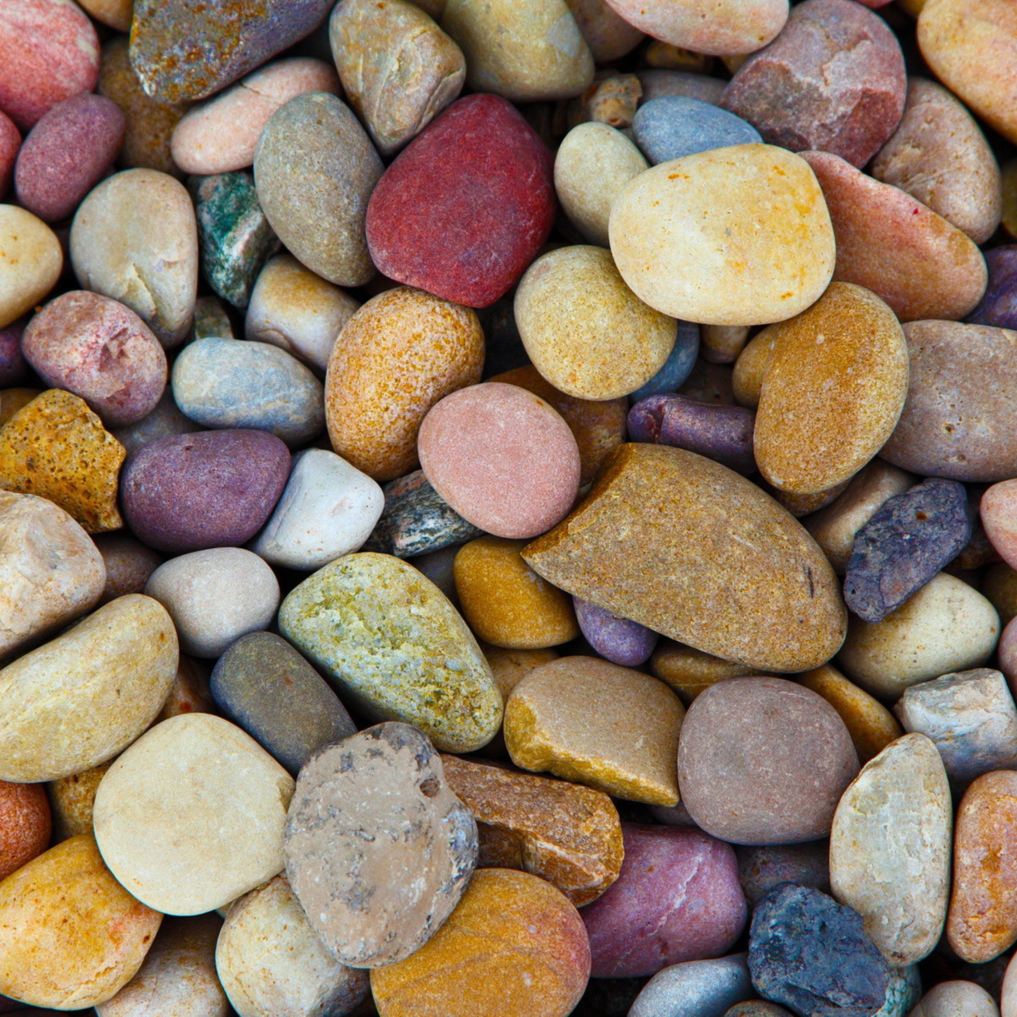 Das Colorful Pebbles Wallpaper 2048x2048