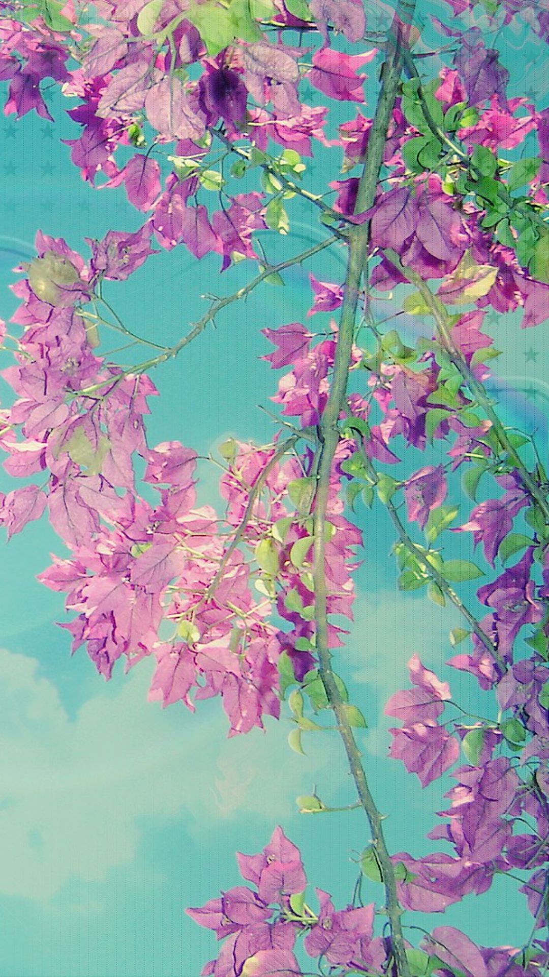 Spring wallpaper 1080x1920