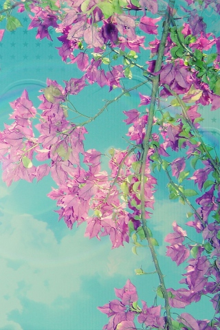 Spring wallpaper 320x480
