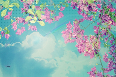 Spring wallpaper 480x320