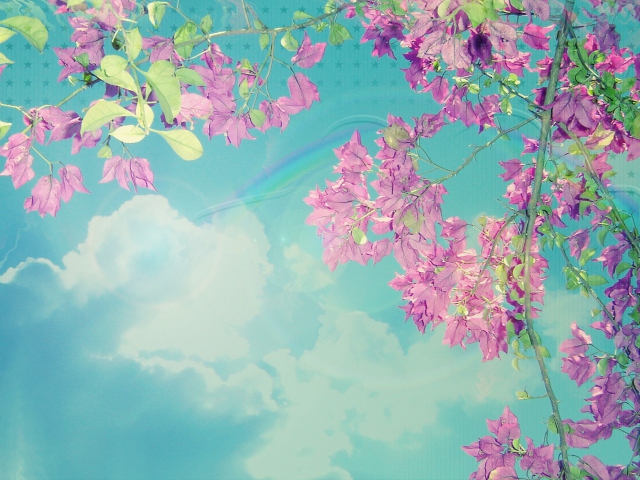 Spring wallpaper 640x480