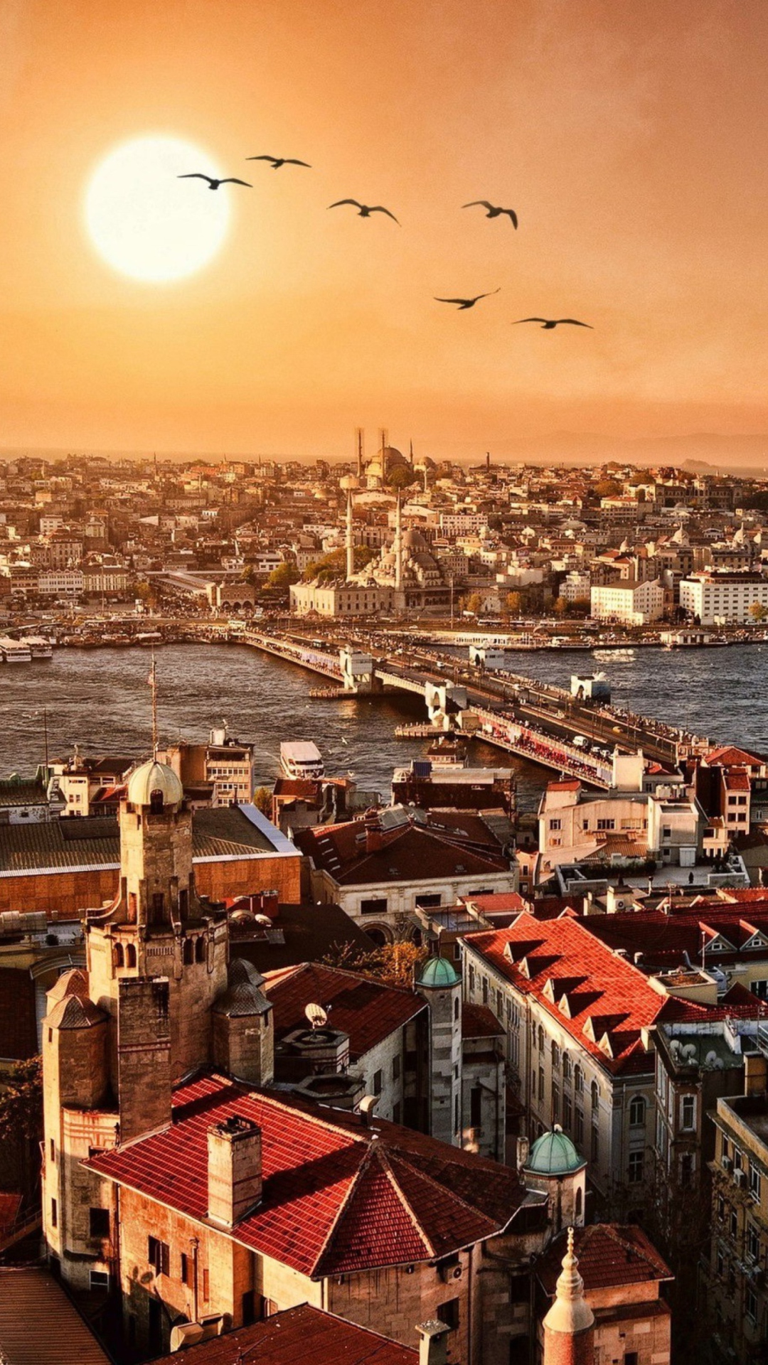 Das Istanbul Wallpaper 1080x1920