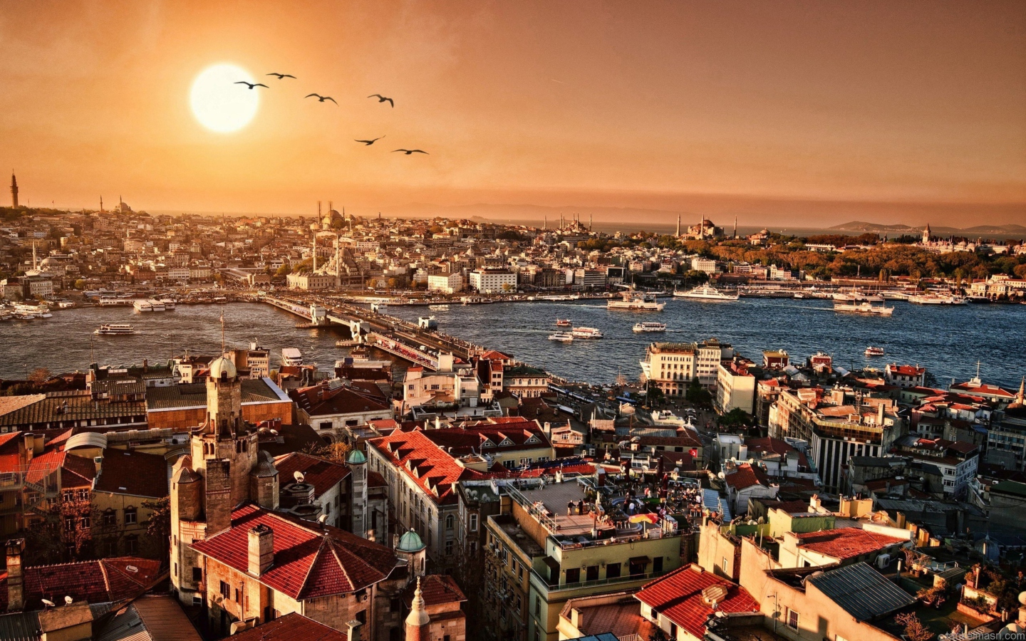 Istanbul screenshot #1 1440x900