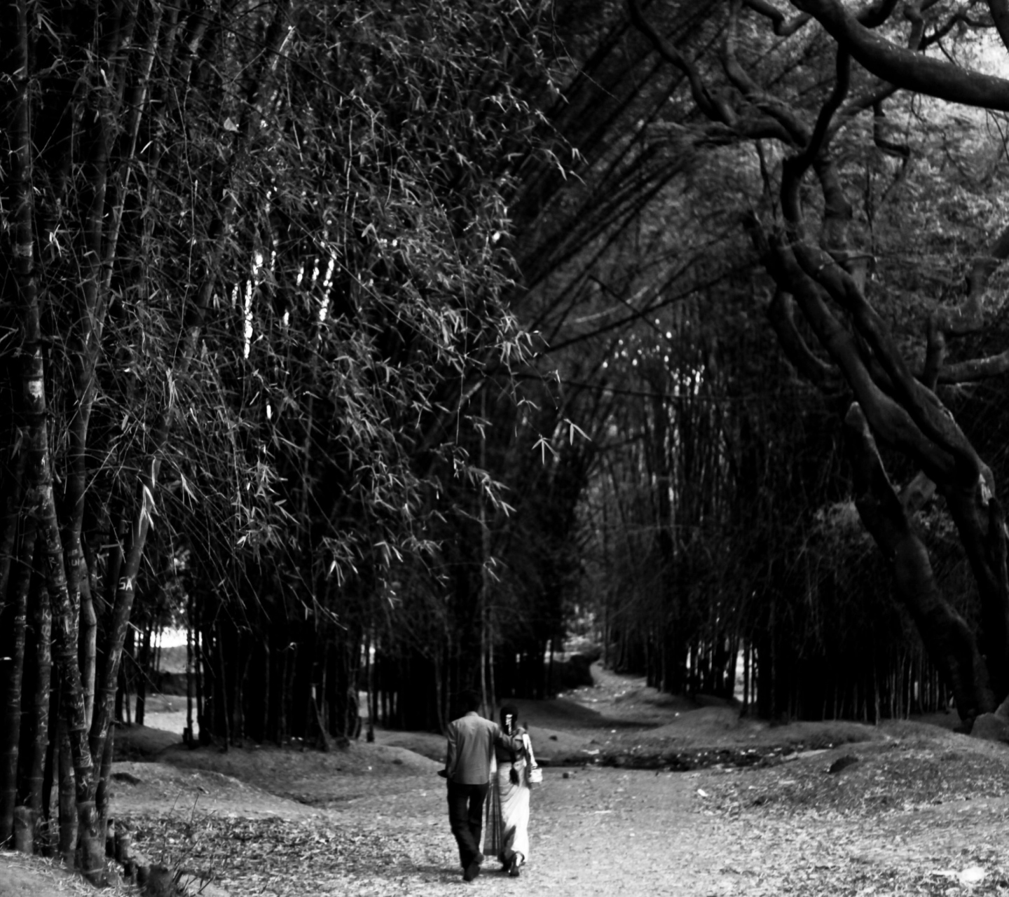 Обои Romantic Walk 1440x1280
