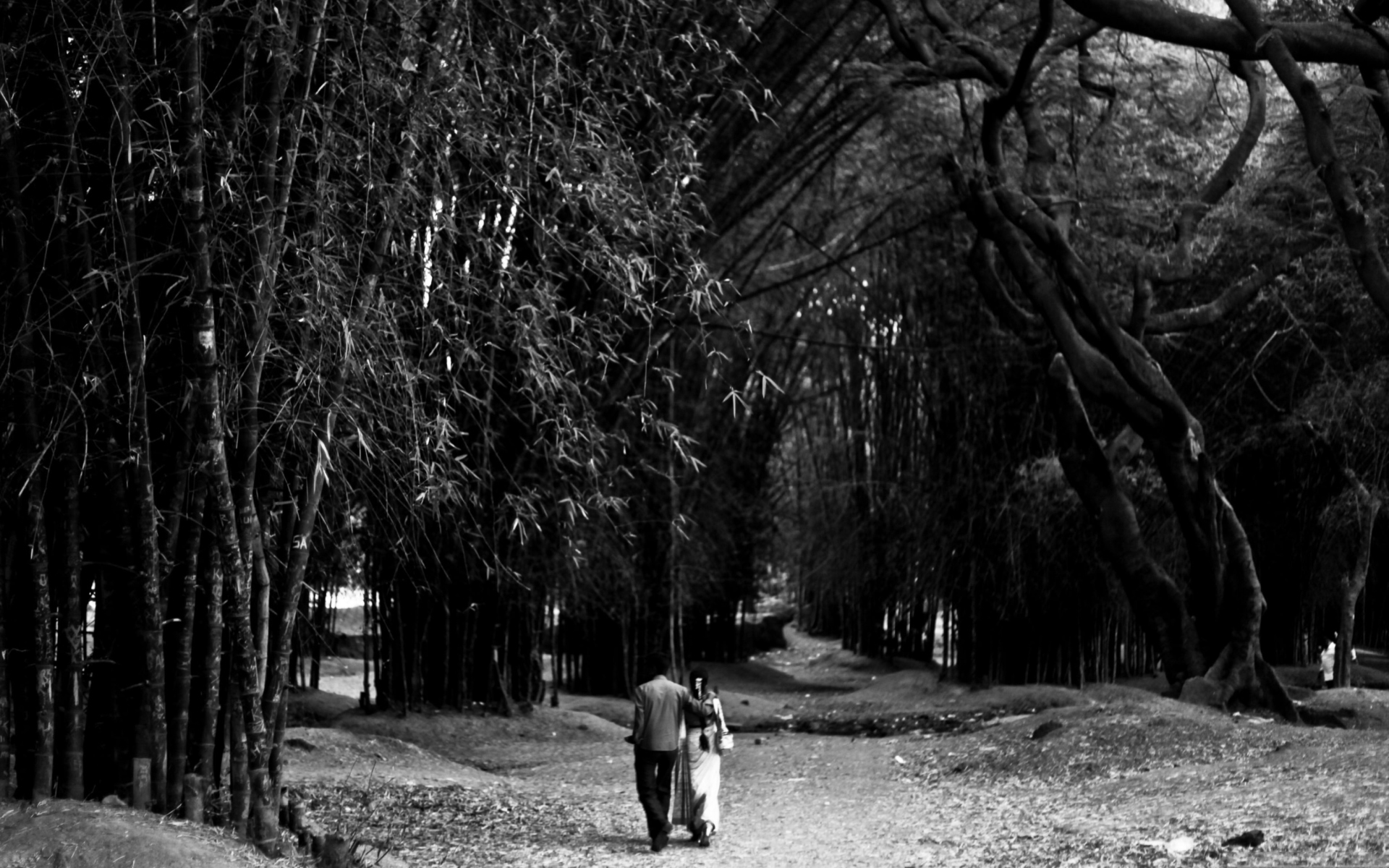 Обои Romantic Walk 1920x1200