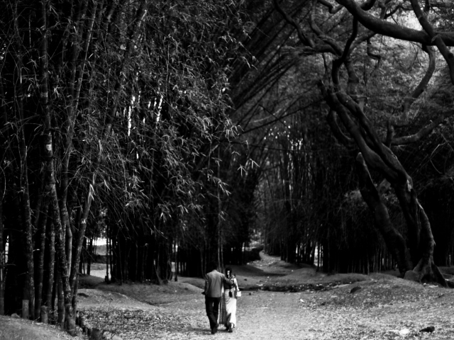 Sfondi Romantic Walk 640x480