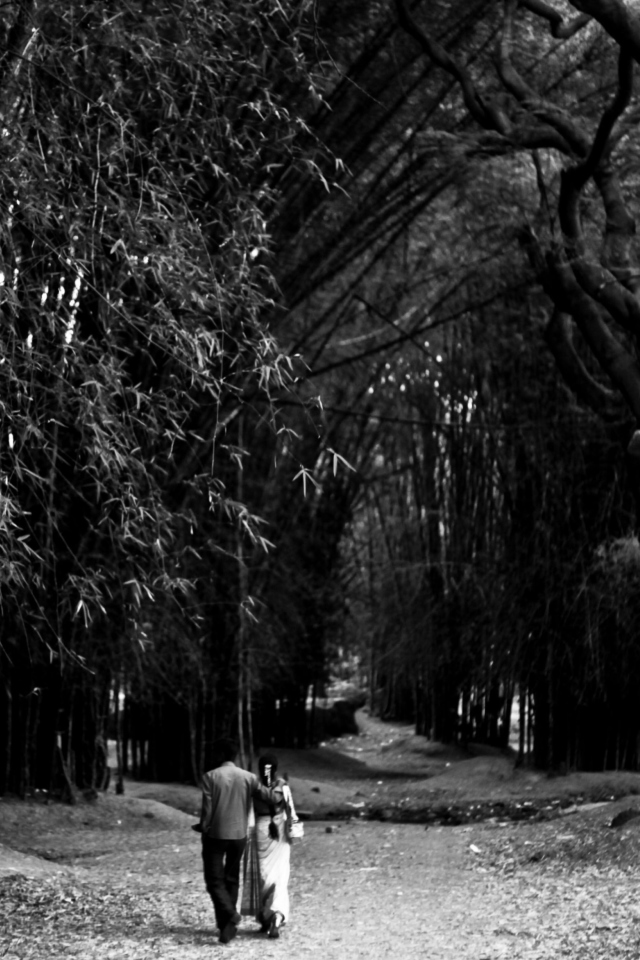 Romantic Walk wallpaper 640x960