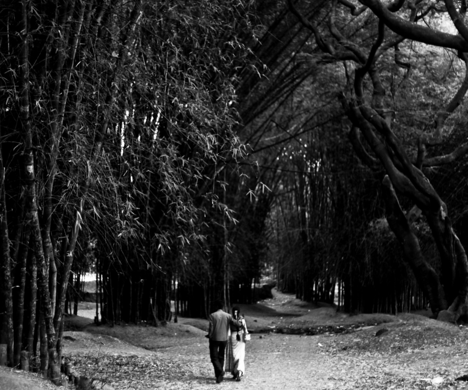 Romantic Walk screenshot #1 960x800