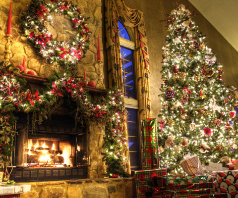 Fondo de pantalla Christmas Tree Decoration Ideas 480x400
