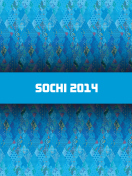 Sochi 2014 wallpaper 132x176