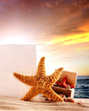 Seashell and Starfish Coastal Decor wallpaper 128x160