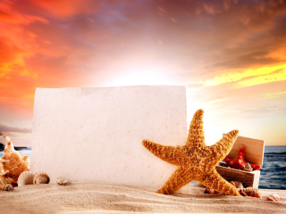 Seashell and Starfish Coastal Decor screenshot #1 320x240