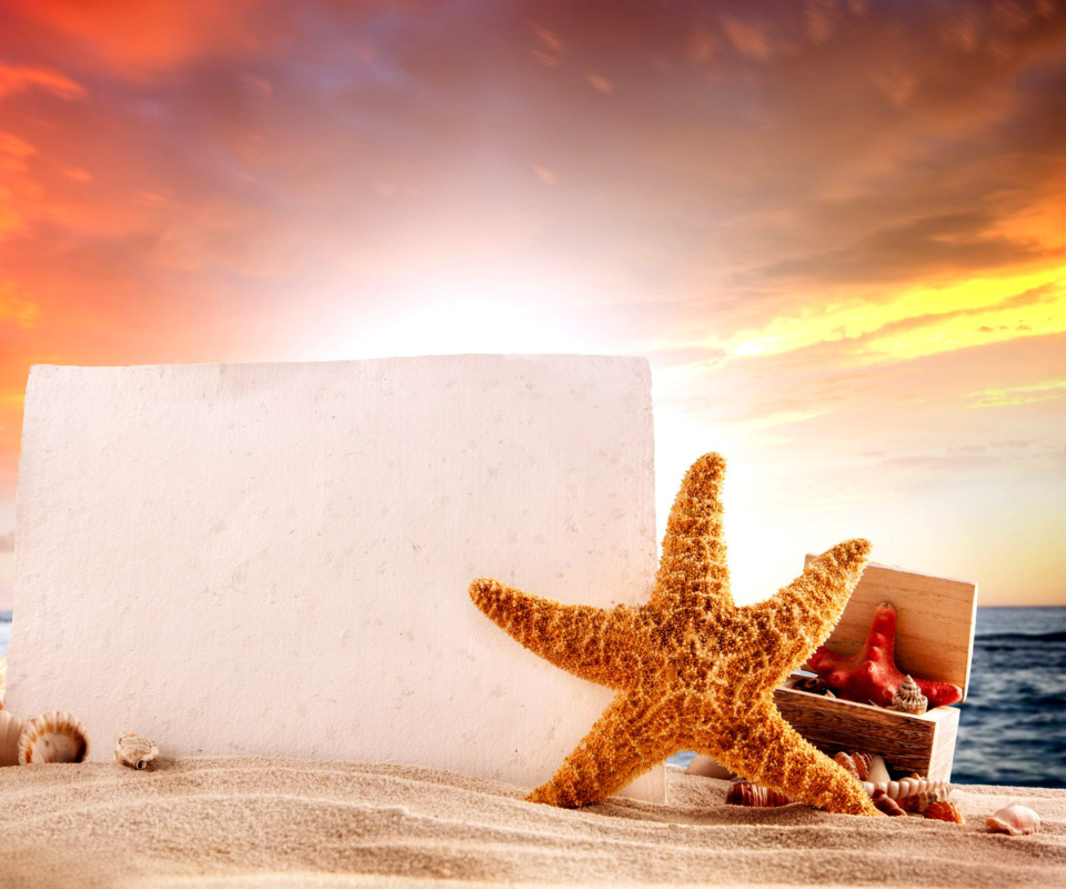 Fondo de pantalla Seashell and Starfish Coastal Decor 960x800