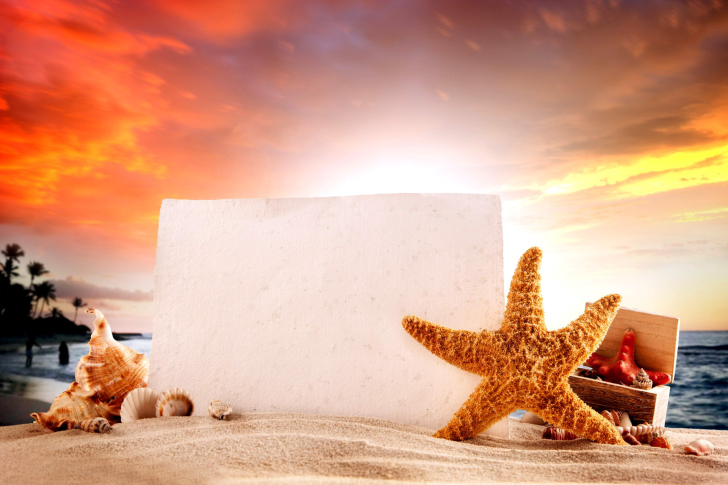 Обои Seashell and Starfish Coastal Decor