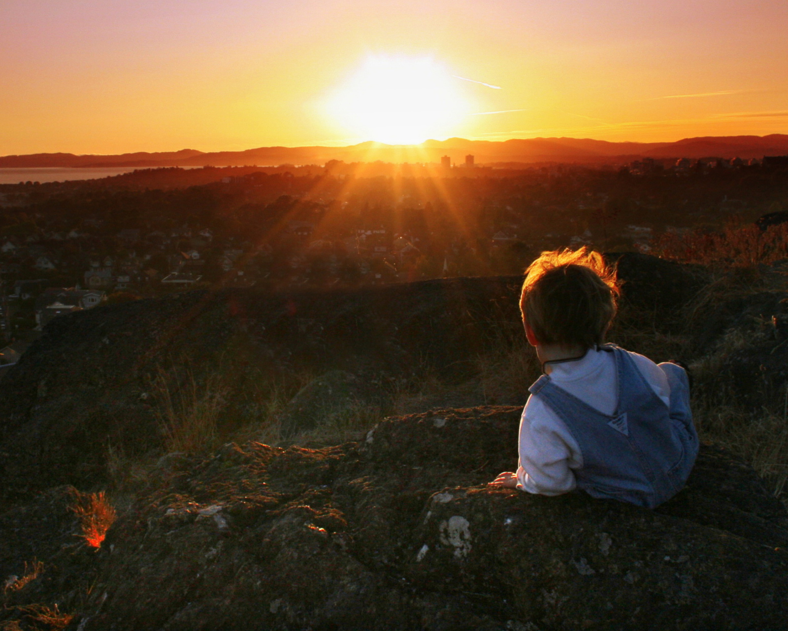 Sfondi Little Boy Looking At Sunset From Hill 1600x1280