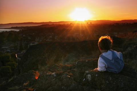 Screenshot №1 pro téma Little Boy Looking At Sunset From Hill 480x320