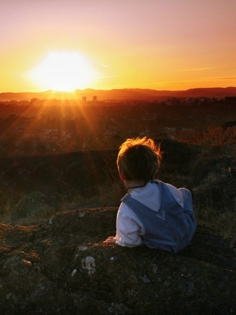 Обои Little Boy Looking At Sunset From Hill 480x640