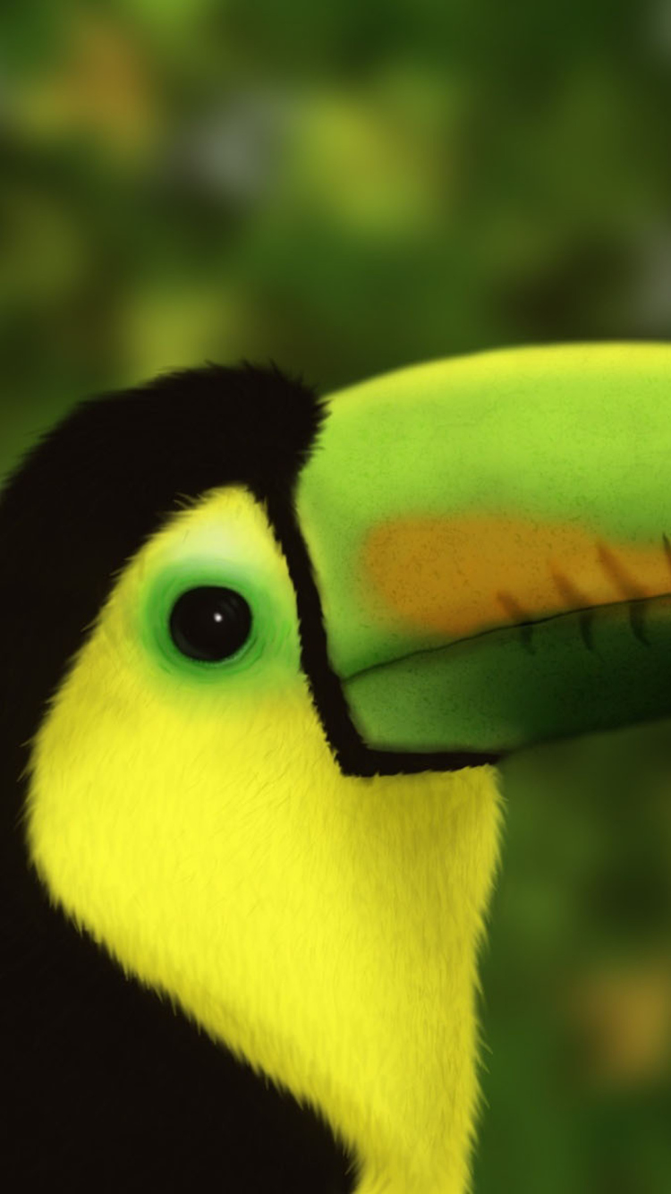 Das Toucan Wallpaper 750x1334