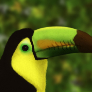 Toucan - Obrázkek zdarma pro iPad