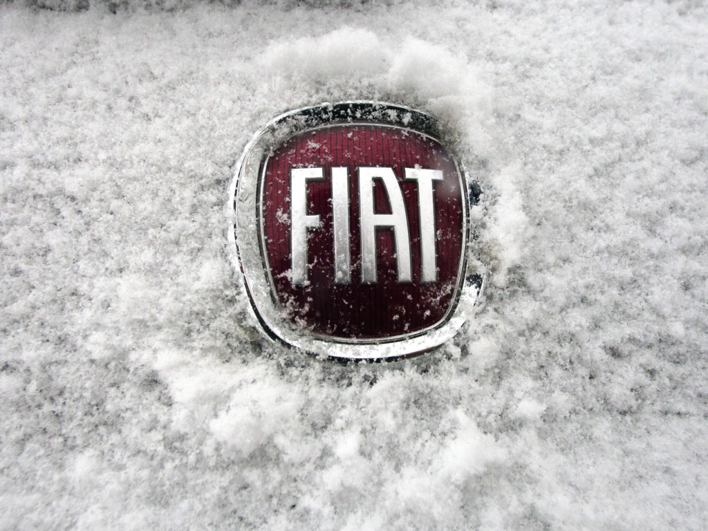 Screenshot №1 pro téma Fiat Car Emblem 1024x768