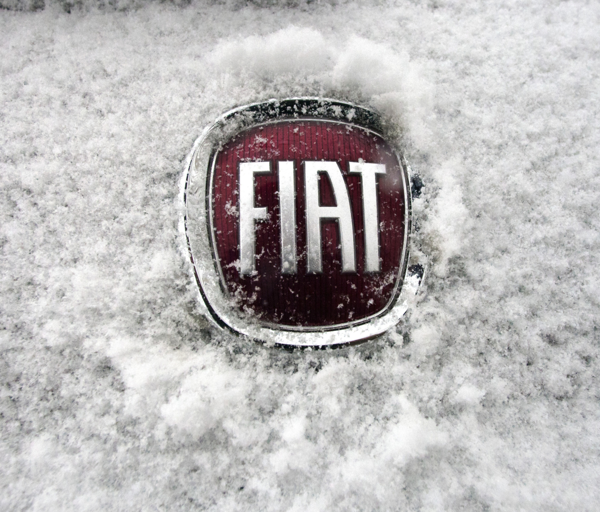 Das Fiat Car Emblem Wallpaper 1200x1024