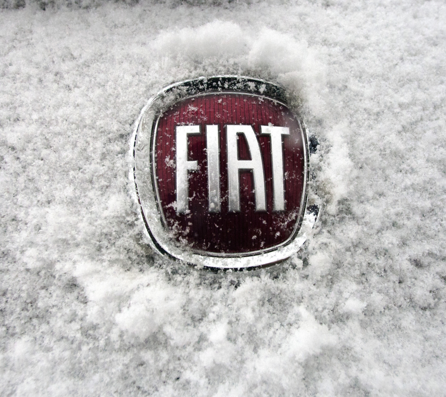 Обои Fiat Car Emblem 1440x1280