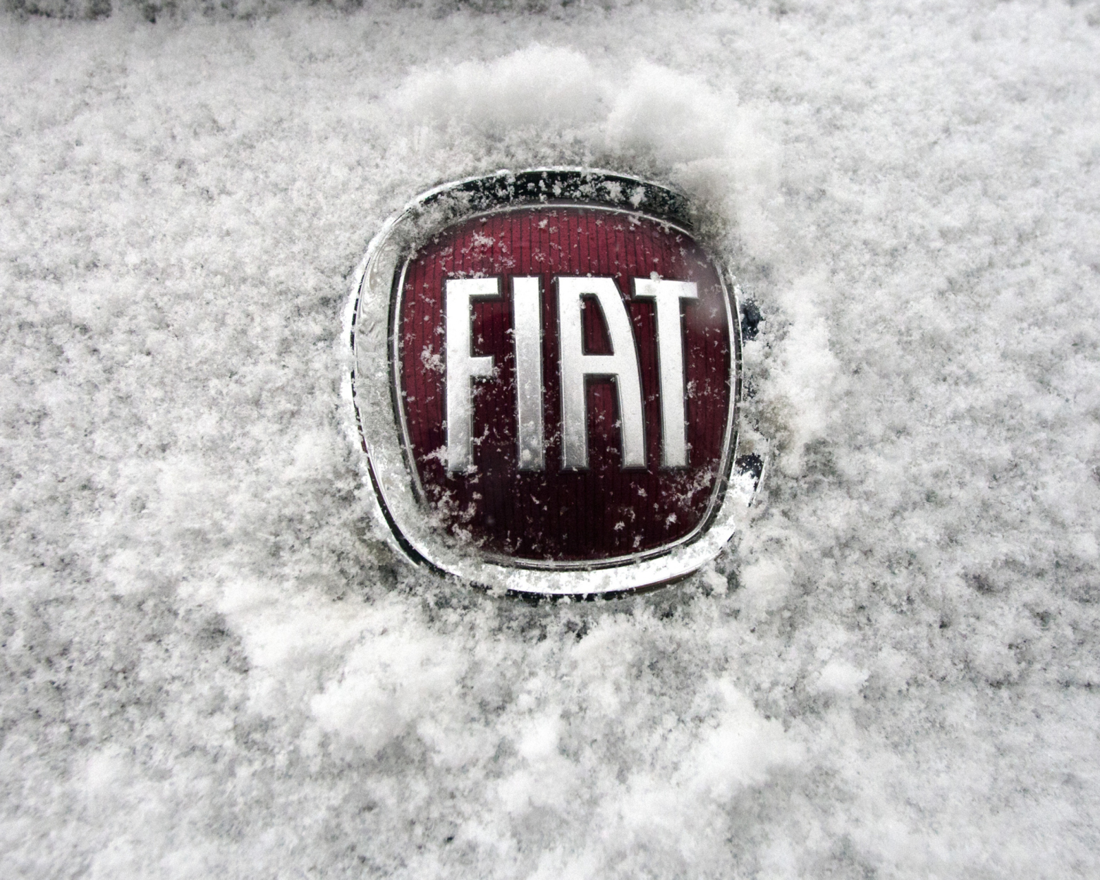 Das Fiat Car Emblem Wallpaper 1600x1280