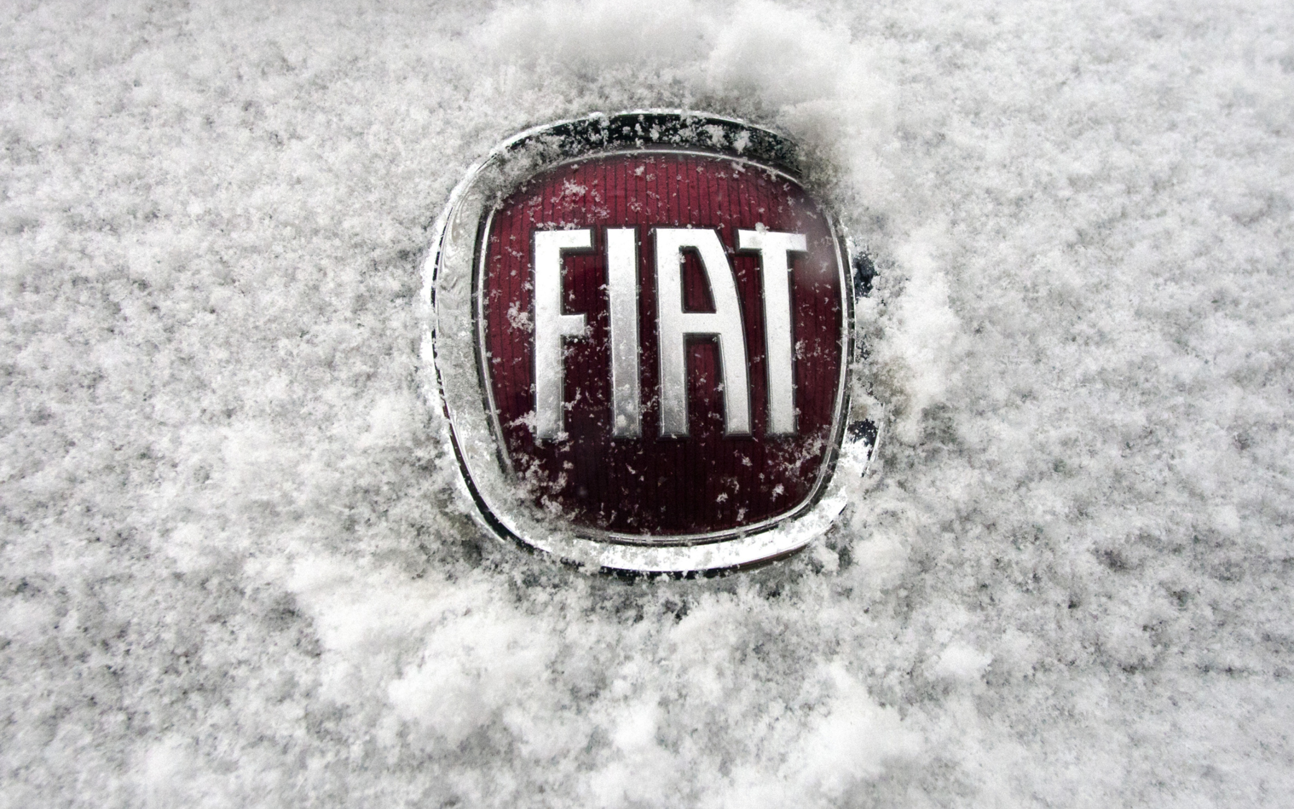 Das Fiat Car Emblem Wallpaper 2560x1600