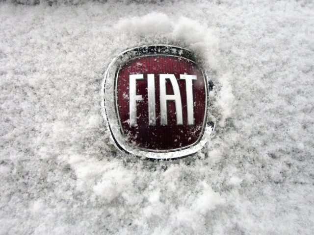 Das Fiat Car Emblem Wallpaper 640x480