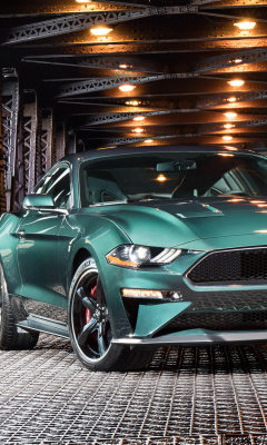 2019 Ford Mustang screenshot #1 240x400