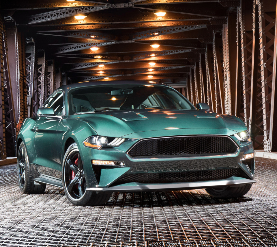 2019 Ford Mustang screenshot #1 960x854