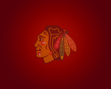 Chicago Black Hawks wallpaper 220x176