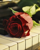 Rose On Piano wallpaper 128x160