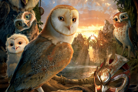 Обои Legend Of The Guardians The Owls Of Ga Hoole 480x320