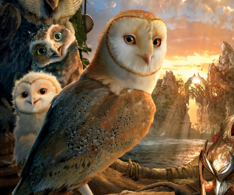 Sfondi Legend Of The Guardians The Owls Of Ga Hoole 480x400