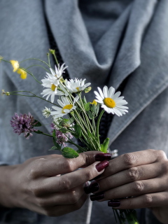 Das Pretty Little Field Bouquet In Hands Wallpaper 240x320