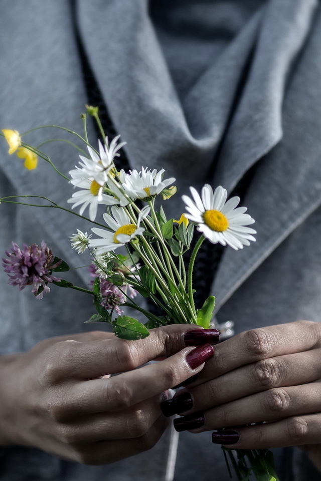 Fondo de pantalla Pretty Little Field Bouquet In Hands 640x960