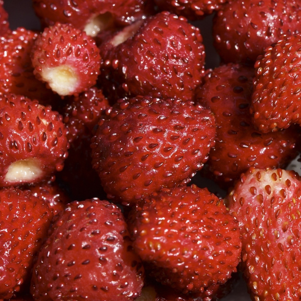 Das Strawberries Wallpaper 1024x1024