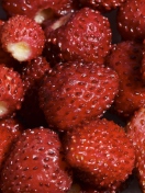 Обои Strawberries 132x176