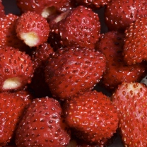 Sfondi Strawberries 208x208
