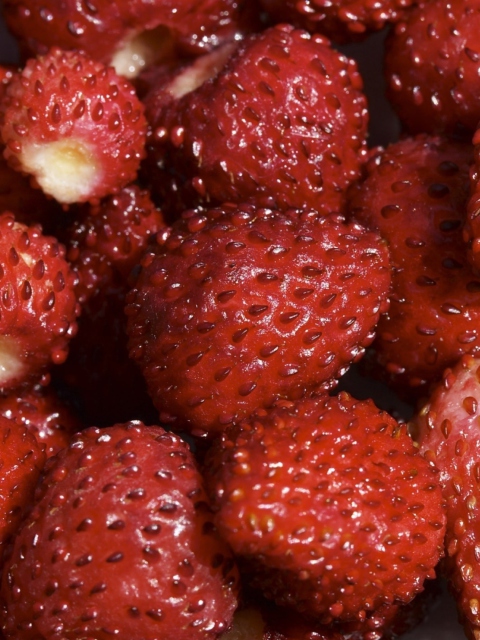 Sfondi Strawberries 480x640