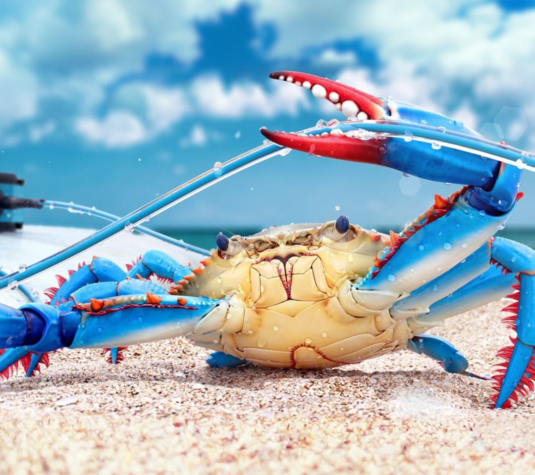 Das Blue crab Wallpaper 1080x960