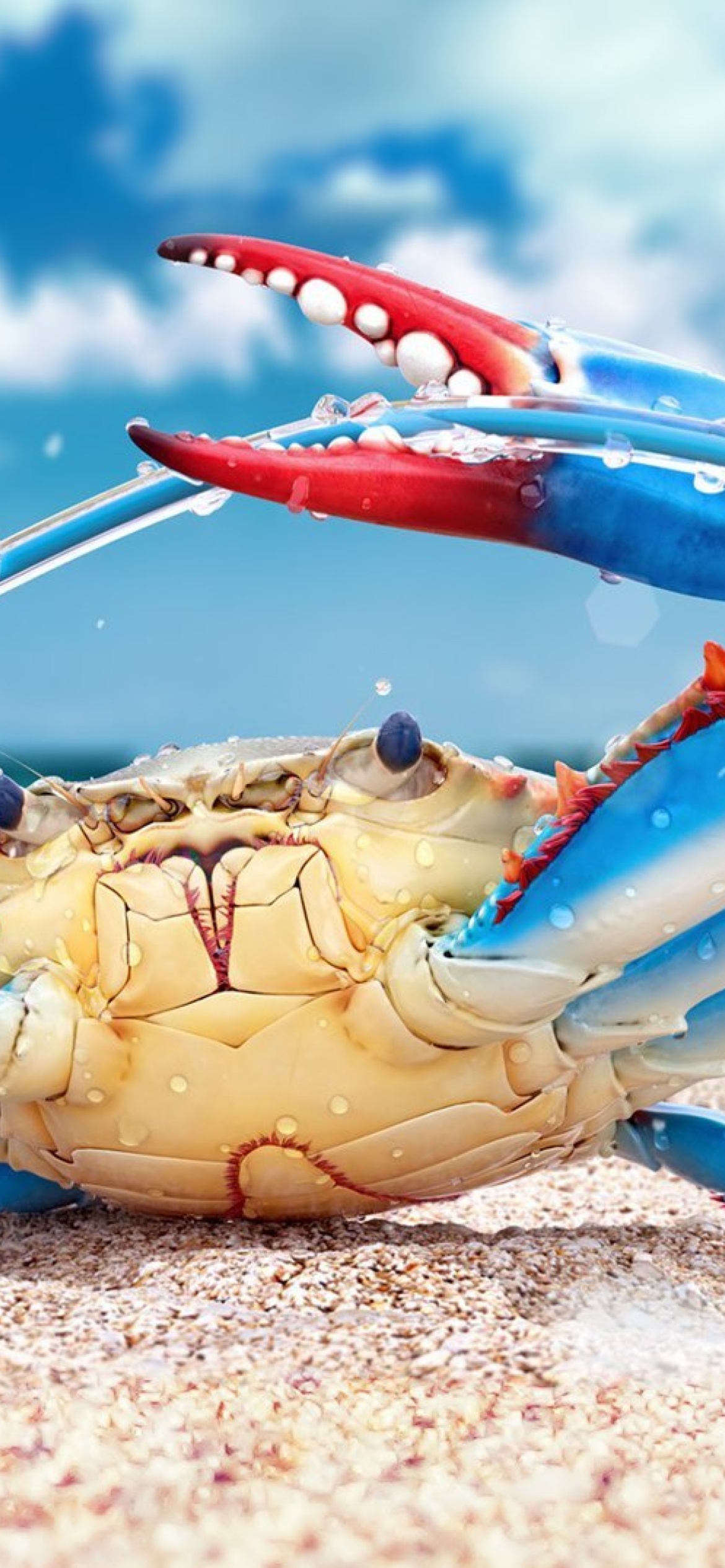 Fondo de pantalla Blue crab 1170x2532