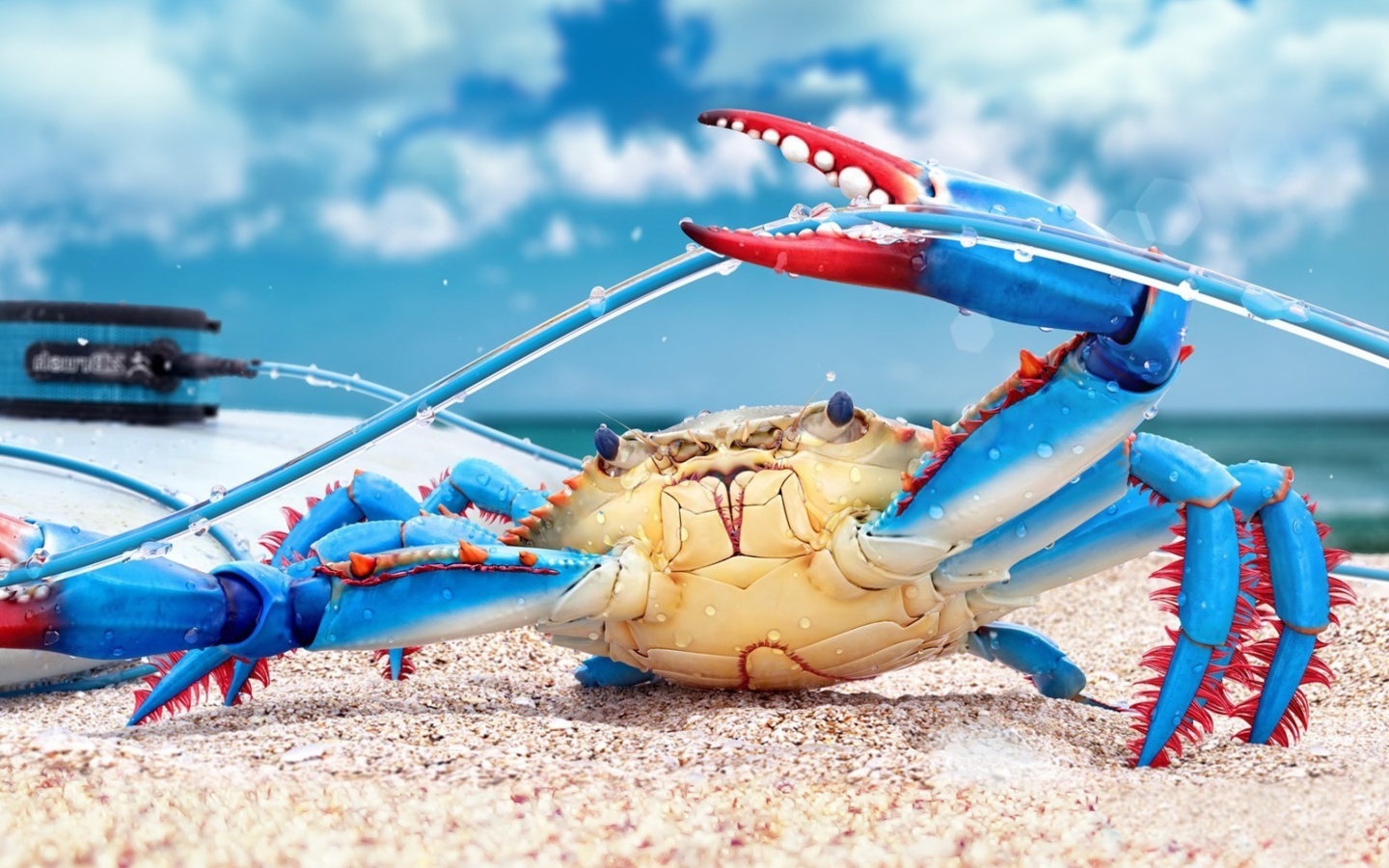 Fondo de pantalla Blue crab 1440x900
