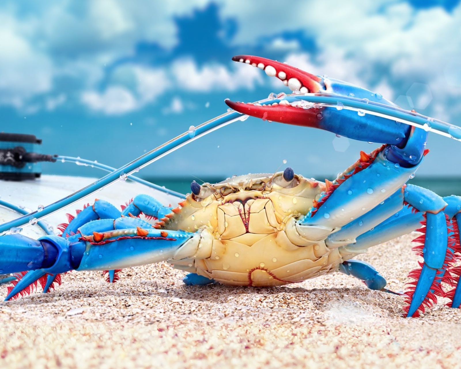 Fondo de pantalla Blue crab 1600x1280